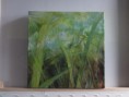 /album/schilderijen-landschappen/a1vegetatie-dsc00542-jpg2/